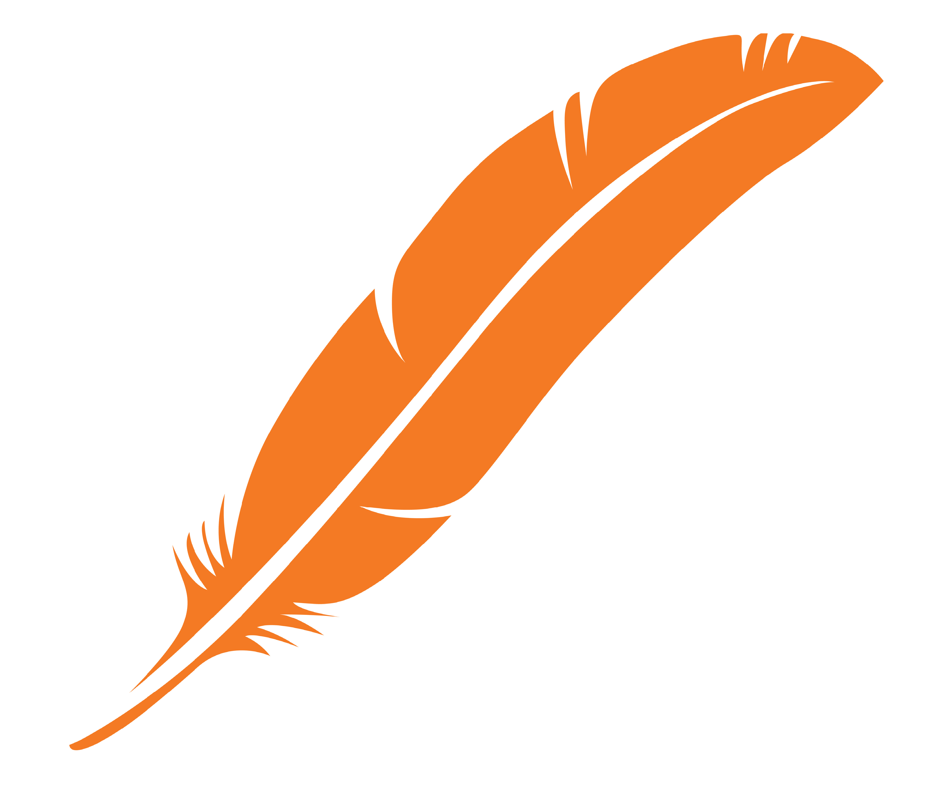 Orange feather<br />
