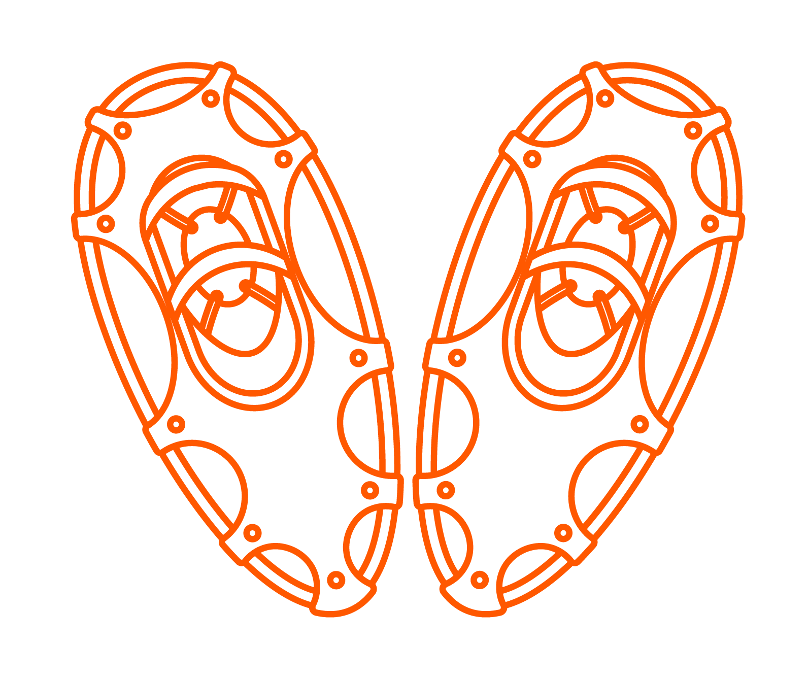 Illustration of a pair of snowshoes<br />
